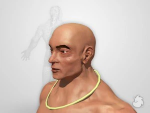 next gen warrior 3D Model