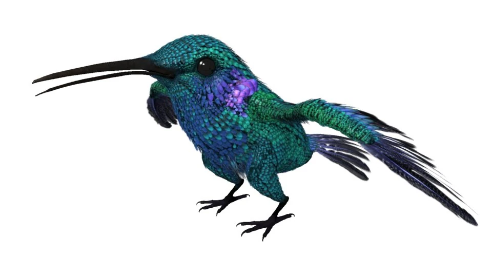 hummingbird 01 3dsmax2010 3D Model .c4d .max .obj .3ds .fbx .stl .blend