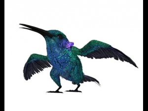 hummingbird 01      3dsmax2010 3D Model