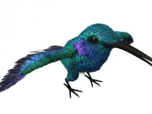 hummingbird 01      3dsmax2010 3D Model