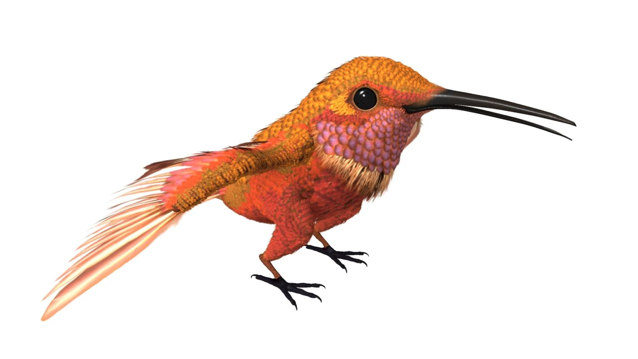 hummingbird 02   3ds max 2010 3D Model .c4d .max .obj .3ds .fbx .stl .blend 