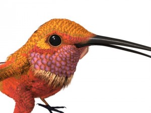 hummingbird 02   3ds max 2010 Model 3D