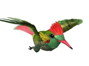 hummingbird 03   3ds max 2010 3D Model