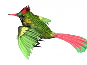 hummingbird 03   3ds max 2010 Modelo 3D