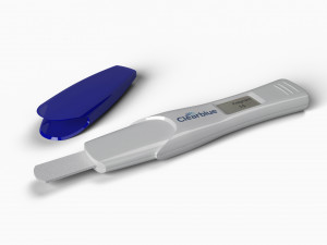 pregnancy test 3D Model