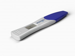 pregnancy test 3D Model