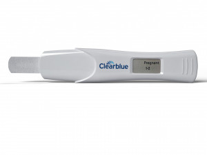 pregnancy test 3D Model