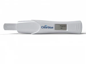 pregnancy test 3D Model