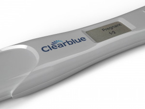 pregnancy test 3D Model