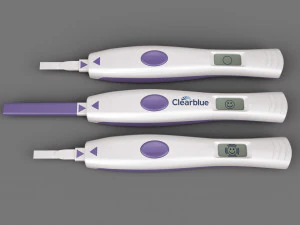 test di ovulazione Modello 3D