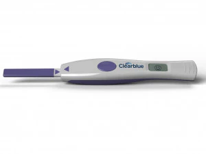 ovulation test 3D Model