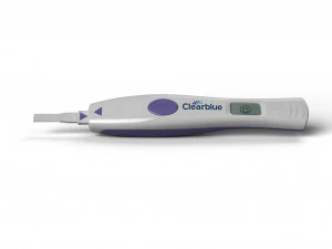 ovulation test 3D Model