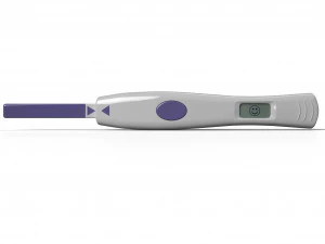 ovulation test 3D Model