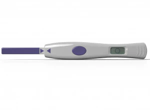 ovulation test 3D Model