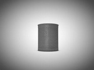 tin Model 3D