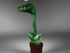 flower 3D-Modell