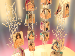 nsfw magazine shelves 3D Model