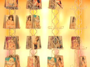nsfw magazine shelves 3D Model