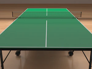 tenis table 3D Model