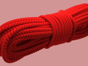 climbing rope 3D 模型