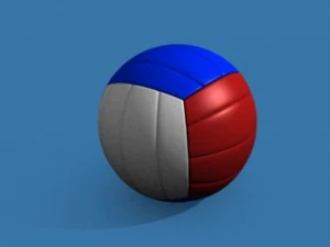 배구 3D 모델