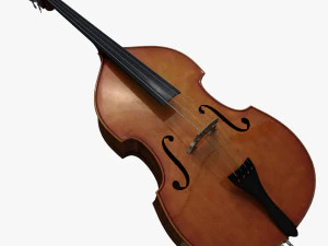 콘트라베이스 3D 모델