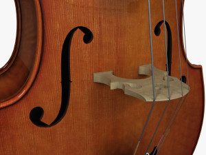 contrabass Modèle 3D