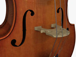 contrabass 3D Model