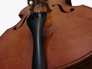 contrabass Modèle 3D
