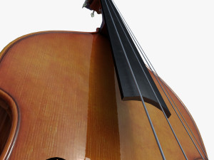 contrabass Modèle 3D