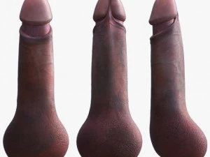 penis 3D Model