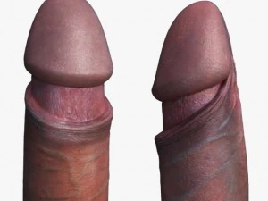 penis rigged 3D Model