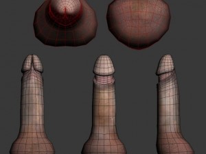 penis rigged 3D 모델
