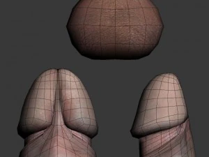 penis rigged 3D Model