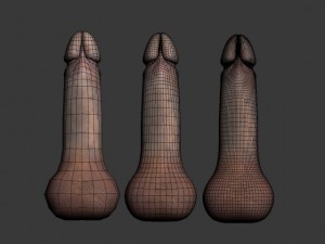penis rigged 3D 모델