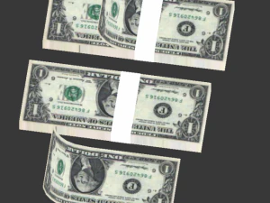 money pack 3D Model