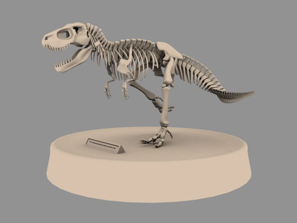 trexskeleton 3D Model .c4d .max .obj .3ds .fbx .stl .blend 
