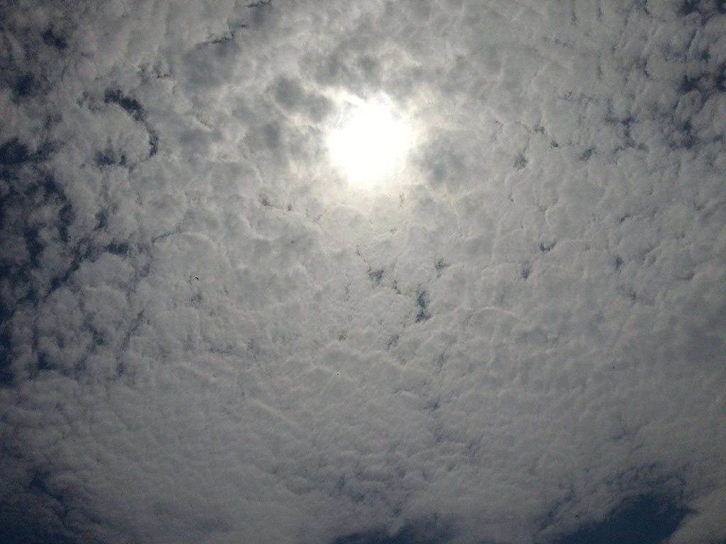 sky 2 CG Textures .c4d .max .obj .3ds .fbx .stl .blend