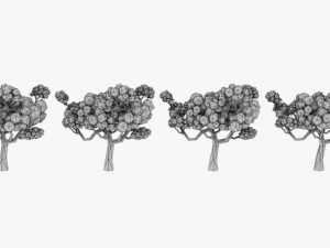 lowpoly trees pack 03 Modelo 3D