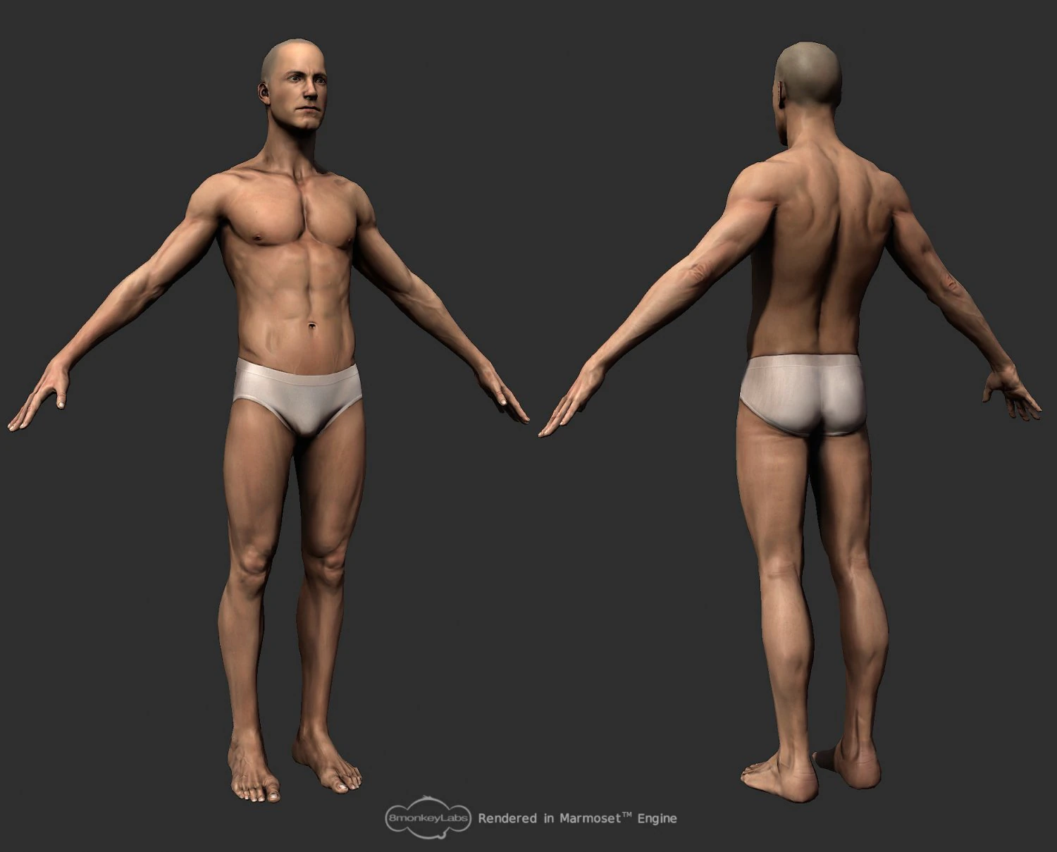 person 3D Model .c4d .max .obj .3ds .fbx .stl .blend 