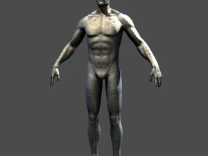 cyborg 3D Model