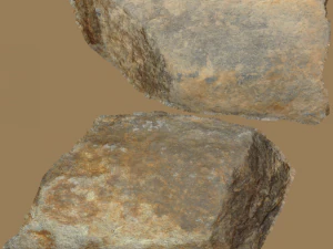 jackie stone 3D Model