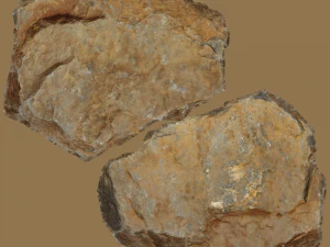 oprah stone 3D Model