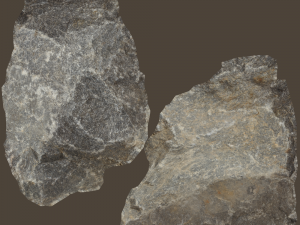ellen stone Modelo 3D
