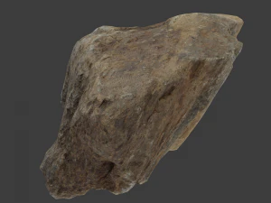 Бетси Стоун 3D Модель