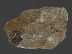 olivia stone 3D Model