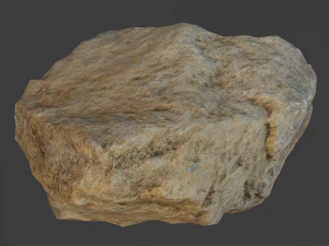 olivia stone 3D Model