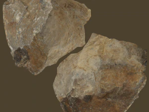 olivia stone 3D Model