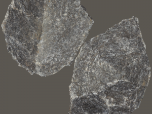 evelynn stone 3D मॉडल