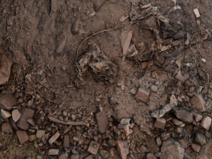 garbage pile 3D Model